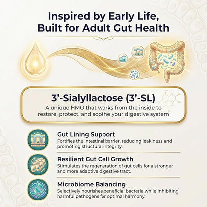 Gut Health - Gut Barrier Function, Epithelial Cell Growth, Immune Support, Enhances Nutrient Absorption, Microbiome Balance (HMO 3'-SL) (3-Pack | Best Value)