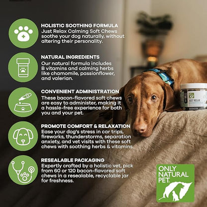 Only Natural Pet - Just Relax Herbal Calming Soft Chews for Dogs | Natural Anxiety Relief Treats, Premium Dog Relaxation Aid, Stress and Anxiety Relief Supplement - Bacon Flavor - 60 Soft Chews