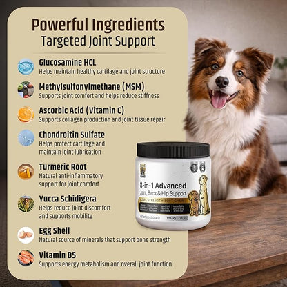 PetriGuard | Advanced Hip, Back & Joint Supplement for Dogs | Ultra Strength Formula w/ 8 Active Ingredients | USA Made & Veterinarian Approved | Glucosamine, Turmeric, MSM + 5 More - 120 Chews
