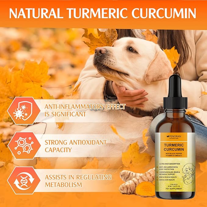 Turmeric Curcumin Drops for Dog & Senior Dogs: Anti-inflammatory Pain Relief, Eliminates Joint Pain, Improve Joint Mobility,Brain, Liver, Bone, Muscle, Skin&Coat - Liquid Absorb Better