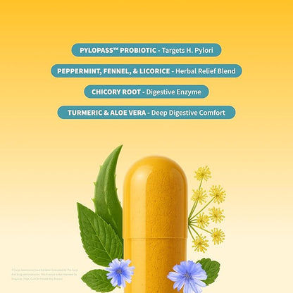 Snap Supplements Gut Health Lipase Supplement with Probiotics for Women & Men, Digestive Enzymes & Prebiotics - Turmeric, Aloe, Pylopass & Zinc, 50 Vegetarian Capsules