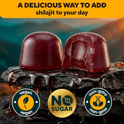 VitaUp Himalayan Shilajit Gummies - Sugar Free Natural Shilajit Gummies with Fulvic Acid, Ashwagandha, Lions Mane, Black Seed - Immune & Energy Support - 120 Count
