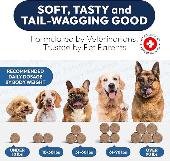 Probiotics for Dogs - 170 Dog Probiotics Chews - Digestive Enzymes & Prebiotics - Support Gut Health, Diarrhea, Gas & Constipation Relief - Itchy Skin, Allergies, Yeast Balance - Advanced Supplement