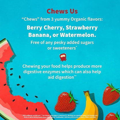 Garden of Life Dr. Formulated Probiotics Organic Kids+ plus Vitamin C & D - Berry Cherry - Gluten, Dairy & Soy Free Immune & Digestive Health Supplement, No Added Sugar, 30 Chewables (Shelf Stable)