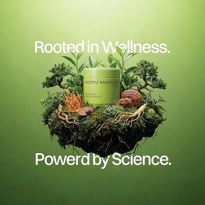 Organic Matcha & Mushroom Energy Gummies | Ceremonial Grade Matcha + Cordyceps, Reishi, Panax Ginseng & Rhodiola | Clean Sustained Energy, Focus & Stress Support | Vegan, Non-GMO