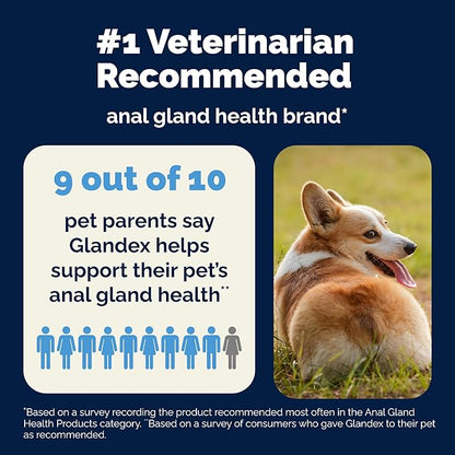 Vetnique Glandex Anal Gland Soft Chew Treats with Pumpkin for Dogs Digestive Enzymes, Probiotics Fiber Supplement for Dogs Boot the Scoot (30ct, Peanut Butter Chews)