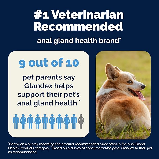 Vetnique Glandex Anal Gland Soft Chew Treats with Pumpkin for Dogs Digestive Enzymes, Probiotics Fiber Supplement for Dogs Boot The Scoot (Bacon Flavor Chews, 60 Count)
