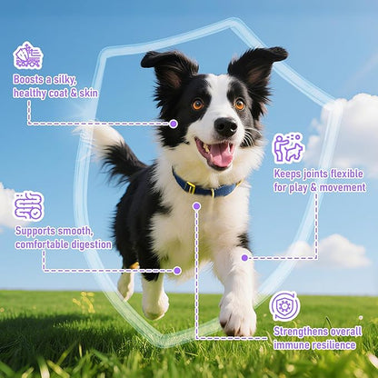 Liquid Collagen for Dogs with Premium Grass-Fed Collagen, Skin & Coat Support, Hip & Joint Mobility, Itch Relief, Digestive & Immune Health, with MSM, Biotin & Vitamin C, 4 fl oz