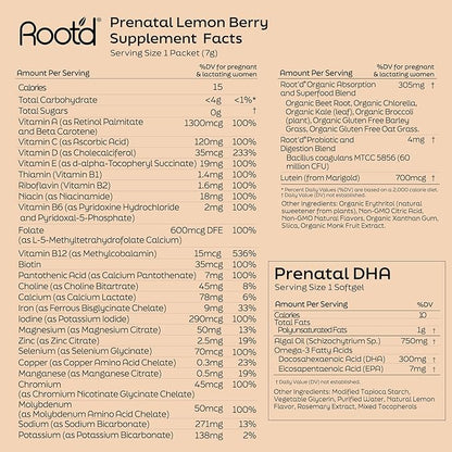 Root'd Prenatal DHA + Multivitamin Powder for Pregnancy Support, Fetal Development, Hydration & Immune Boost - Vegan, Non-GMO, Sugar Free - for Mom