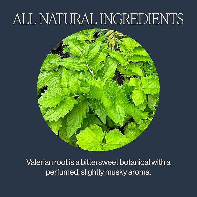 Rishi Tea Valerian Dream Herbal Tea - Organic Sachet Bags, Caffeine Free, Calming Botanical Blend with Valerian Root - 30 Count