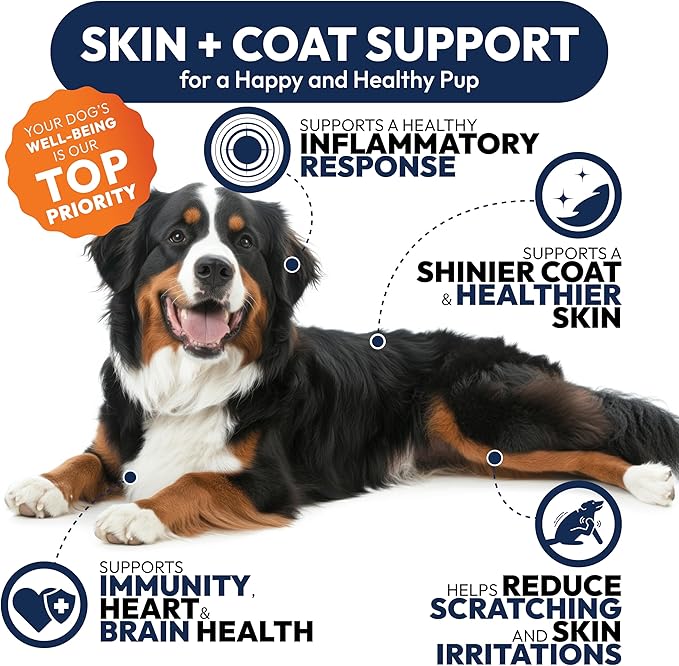 Omega 3 for Dogs - 250 Fish Oil Chews for Dog Shedding, Allergy & Itch Relief, Hot Spot Treatment - Advanced Skin & Coat Supplement - Joint Health - EPA & DHA Fatty Acids - Salmon Oil & Probiotics