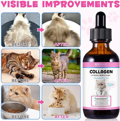 Collagen for Cats, Liquid Collagen for Cat, Liquid Collage Skin and Coat Cats, Cats Collagen, Itch Relief for Cat with Biotin, Supplement for Cats Salmon Flavor