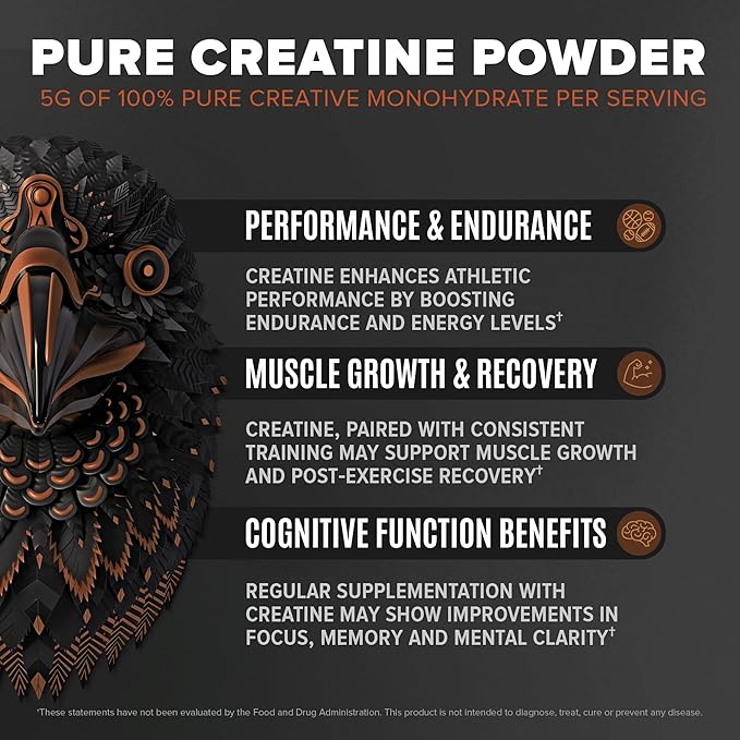 Birdman Falcon Performance Vegan Protein Powder, 31g Protein, 5g Creatine, 5g BCAA, Probiotics, Electrolytes, Pre Workout, Low Carb, Sugar Free & Dairy Free, Plant Based Chocolate Protein, 28 servings