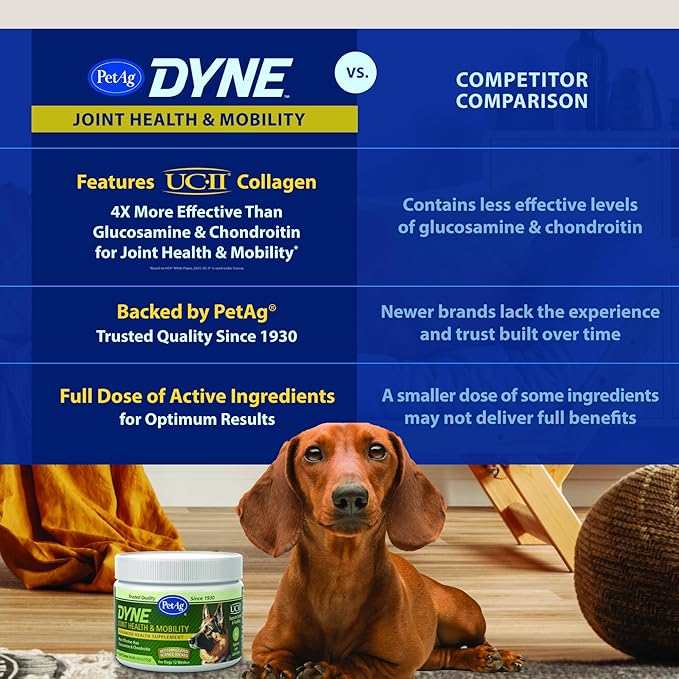 PetAg Dyne Soft Chews, Joint Health & Mobility Supplement - Vet-Formulated for Dogs - with UC-II® Collagen - Up to 4X More Effective Than Glucosamine/Chondroitin - 45 Chicken Liver Flavor Chews