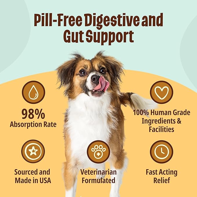 Licks Pill Free Dog Digestion - Dog Gut Health and Gas Relief - Bloating Relief and Digestion Supplement for Dogs - Dog Health Supplies - Gel Packets - 10 Use