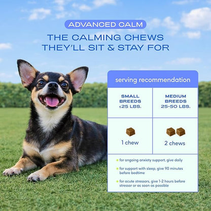 Native Pet Advanced Calming Chews for Dogs Medium Breed - Anxiety Relief, Stress, Separation & Sleep Support with Melatonin for Dogs, Hydrolyzed Casein, Valerian Root & L-Tryptophan - 30 Days Supply