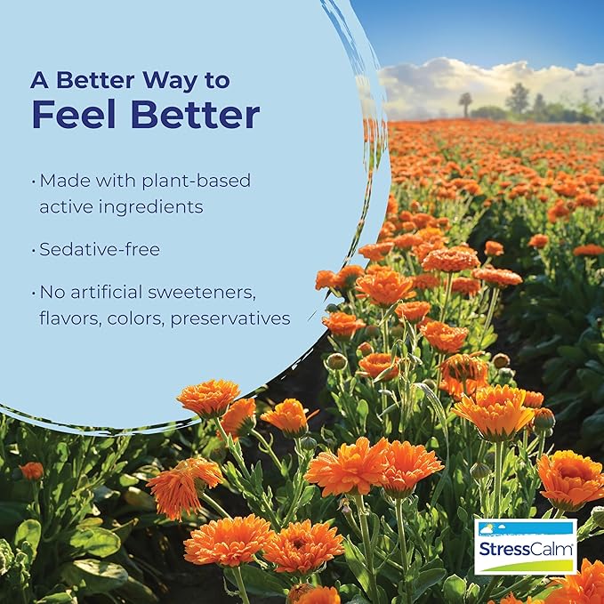Boiron StressCalm Tablets for Relief of Stress, Anxiousness, Nervousness, Irritability, and Fatigue - 120 Count (2 Pack of 60)