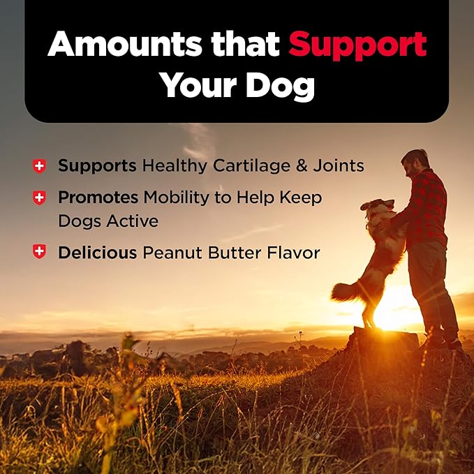 Nutri-Vet Hip & Joint Biscuits, Dog Joint Supplement, Dog Treat, Small Sized Biscuit with 166mg Glucosamine, Puppy Supplements, Tasty Glucosamine Treat, Puppy Essentials, 16 oz Bag