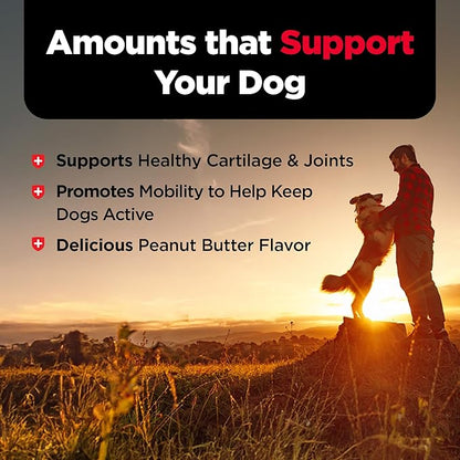 Nutri-Vet Hip & Joint Biscuits, Dog Joint Supplement, Dog Treat, Small Sized Biscuit with 166mg Glucosamine, Puppy Supplements, Tasty Glucosamine Treat, Puppy Essentials, 16 oz Bag