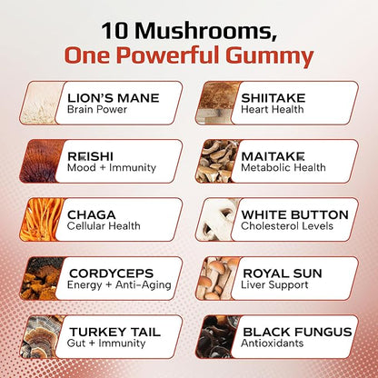 Effective Nutra Mushroom Gummies 2500mg - 10in1 Lion’s Mane, Reishi, Chaga, Cordyceps & More - Focus, Clarity, Memory, Immunity, Energy - Natural Raspberry Flavor, Vegan, Made in USA (2-Pack)