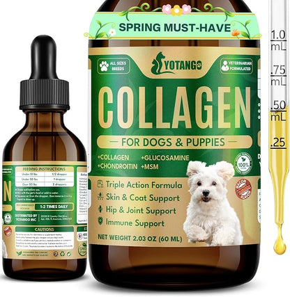 Liquid Collagen for Dogs, Natural Dog Collagen for Skin & Coat Support, Immune Support, Joint & Mobility Care with MSM, Middle-Aged and Older Dogs (Bacon Flavor - 60ml)