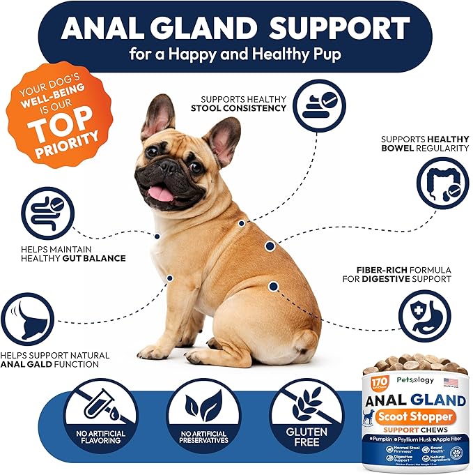 Anal Gland Support Chews for Dogs - 170 Ct - Scoot Treatment - Dog Anal Gland Supplement - Pumpkin, Psyllium Husk, Fiber - Supports Gut Health & Stool Quality - Digestive Enzymes - Made in USA