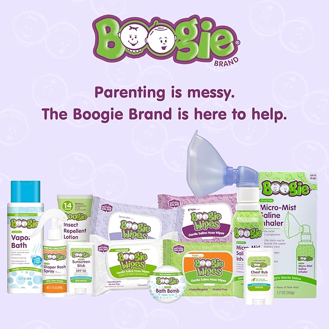 Boogie Antibacterial Hand Wipes, Alcohol Free, Hypoallergenic and Moisturizing Aloe, For Kids and Adults - 30 Wipes (Pack of 1)