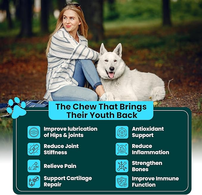 Glucosamine for Dogs Hip and Joint Supplement - Chondroitin, MSM, Green-Lipped Mussel - Clear Hip & Joint - Advanced Mobility Cartilage Support, Bone Health - Tasty Chews 60ct - Made in USA