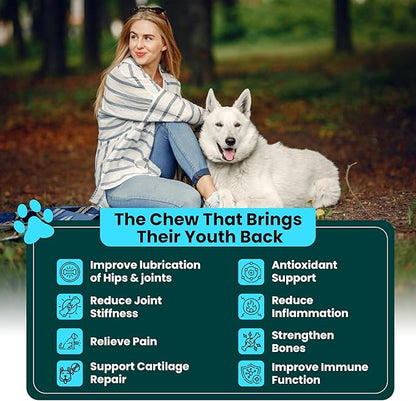 Glucosamine for Dogs Hip and Joint Supplement - Chondroitin, MSM, Green-Lipped Mussel - Clear Hip & Joint - Advanced Mobility Cartilage Support, Bone Health - Tasty Chews 60ct - Made in USA