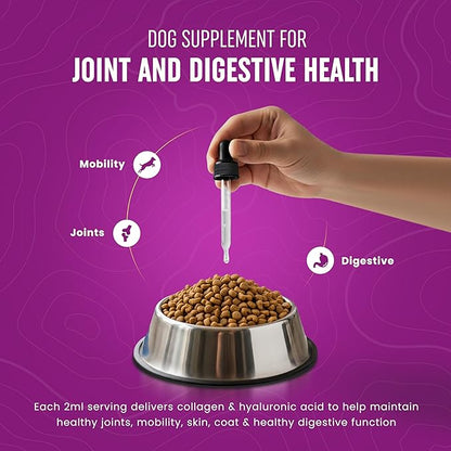 Premium Liquid Collagen for Dogs (120ml) Daily Collagen Dogs Supplement Drops with Types I, II & III & Hyaluronic Acid - Dog Supplement for Joints and Digestive Health - All Breeds & Sizes - USA Made