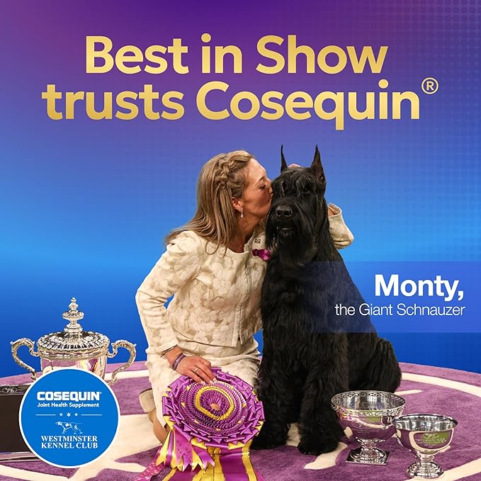 Cosequin Minis Soft Chews Maximum Strength with MSM Plus Omega3,45 Count (Pack of 2)