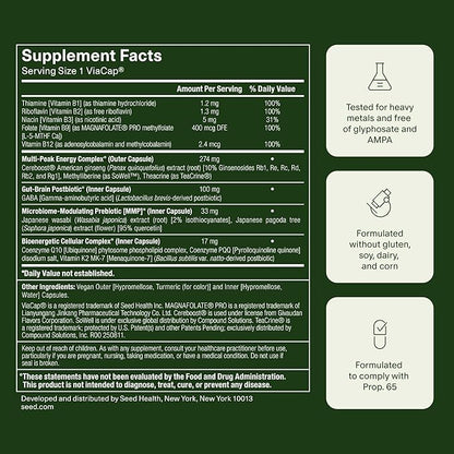 Seed AM-02 Energy + Focus - Daily Nootropic Supplement for Women & Men - Fast-Acting & Sustained Energy for Up to 6 Hours - Caffeine-Free Vegan & Shelf-Stable - 30 Capsules (30-Day Supply)