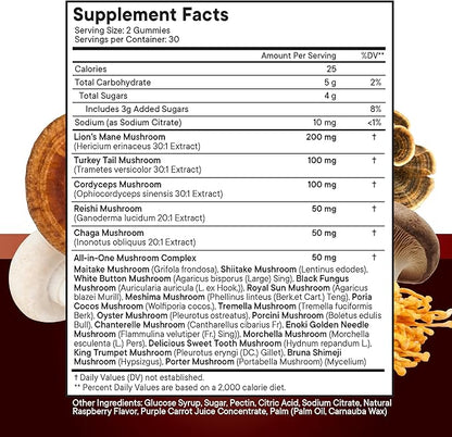 NEW AGE Mushroom Lion's Mane Supplement Gummies - Comprehensive Mushroom Supplement with Reishi, Cordyceps - 180 Count