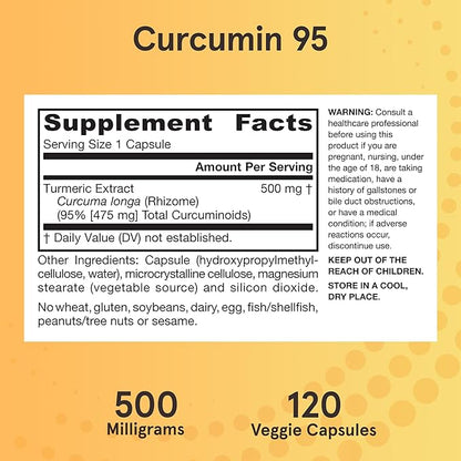 Jarrow Formulas Curcumin 95 Supplement - Turmeric Extract Supplement, 500 mg for Antioxidant & Joint Support, 120 Capsules