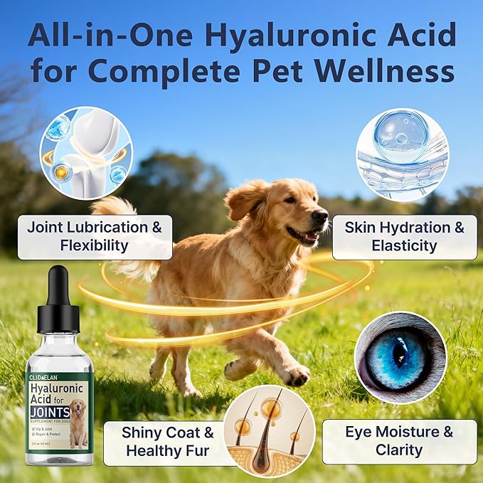 Hyaluronic Acid for Dogs – Liquid Joint Supplement for Dogs Supporting Mobility, Cartilage & Flexibility – Dog Joint Supplement for Joints, Skin, Coat & Eye Hydration – Pure, High-Molecular HA Drops