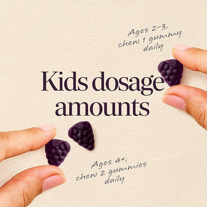 Nature’s Way Sambucus Kids Elderberry Immune Gummies with Black Elderberry Extract, Daily Immune Support Gummy with Vitamin C and Zinc for Children Ages 2+*, 60 Gummies (Set of 3)