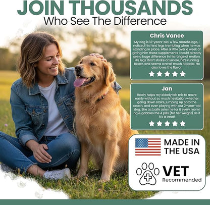 Chew + Heal Labs Glucosamine for Dogs Hip and Joint Supplement - 120 Senior Dogs Mobility Soft Chews - Made with Glucosamine, MSM, Chondroitin, Green Lipped Mussels and More - Made in The USA