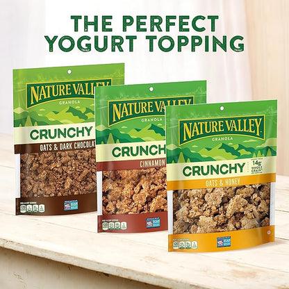 Nature Valley Protein Granola, Oats and Honey, Family Size, Resealable Bag, 17 OZ (Pack of 2)