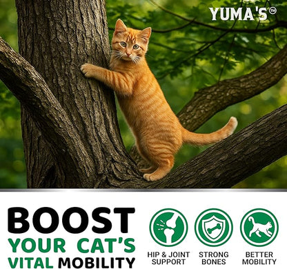 YUMA'S Cat Hip and Joint Health Supplement Chews – Advanced Glucosamine for Cats – MSM, Chondroitin & Omega-3 Salmon Oil – Supports Mobility, Joint Pain Relief, Cat Vitamins for Indoor & Outdoor Cats