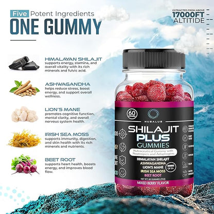 Shilajit Plus Gummies – 5-in-1 Adaptogen Energy & Focus Supplement | Shilajit, Ashwagandha, Lion’s Mane, Sea Moss & Beet Root | Natural Energy & Stress Support | Made in USA, Vegan, 60ct