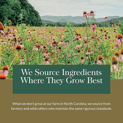 Gaia Herbs Liver Cleanse - Liver Health Support Herbal Supplement with Milk Thistle, Burdock, Turmeric, Dandelion & More* - 60 Vegan Liquid Phyto-Caps (30 Servings)