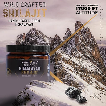 Organic SHILAJIT Gummies by NutroTonic | Shilajit for Men & Women | Cane Sugar Free Sweetened by Organic Manuka Honey | Clean Formula | Natural Fulvic & Humic Acid | 30 Healthy Gummies (3)