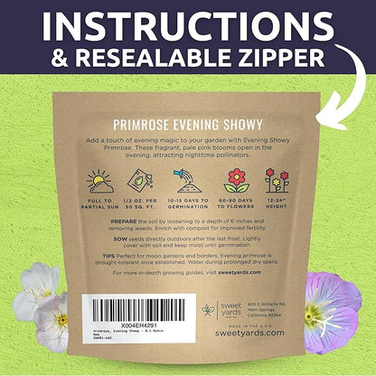 Primrose Evening Showy - Large 1/2 Ounce Packet - 100,000 Flower Seeds for Planting - Oenothera speciosa