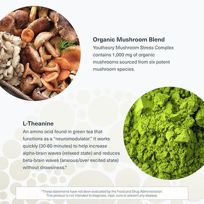 Youtheory Mushroom Stress Complex - 6 Mushroom Blend - Stress Management Support* - Immune Support - L-Theanine Supplement - Dairy, Soy & Gluten Free - 60 Vegetarian Capsules