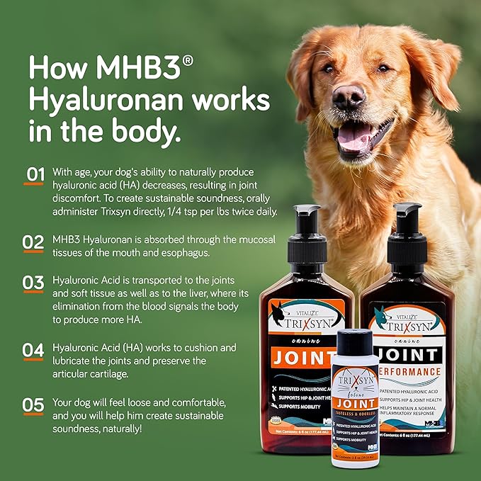 TRIXSYN Canine - Dog Hip and Joint Supplement - Liquid Hyaluronic Acid HA for Dog - Patented Liquid Formula for Senior Dogs - MHB3 Hylauronan - 6 fl oz