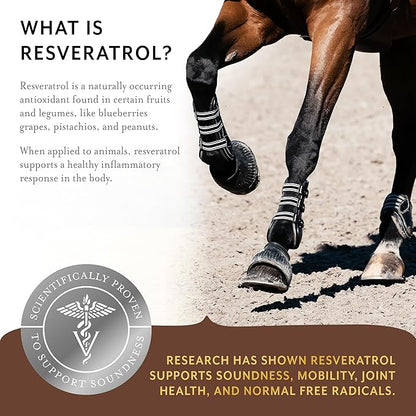 Equithrive Original Joint Supplement Pellets with Resveratrol and Hyaluronic Acid for Horses in Training and Competition and Senior Horses, 1.65 lbs