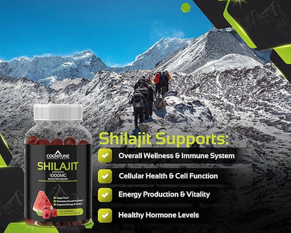 Shilajit Gummies – Pure Himalayan Shilajit Supplement with Fulvic Acid – 1000mg Natural Shilajit Pure Energy Support – Sugar-Free Raspberry Watermelon Flavor – Vegan, Non-GMO, Gluten-Free – 60 Count