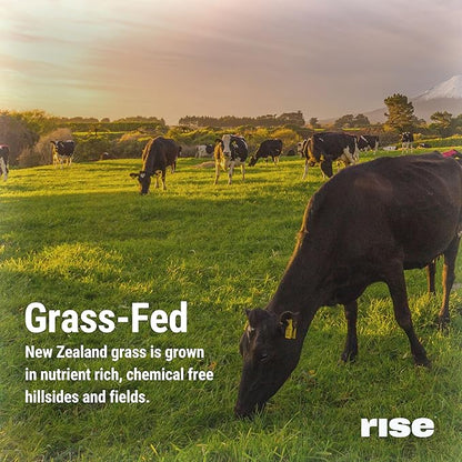 Rise Grass-Fed Whey Protein Powder - Vanilla | 25g Protein No Artificial Flavors, Colors, or Preservatives - Sugar Free, Gluten-Free, Soy Free (Single Serving, 1 Pack)
