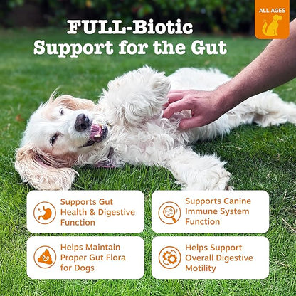 Zesty Paws Vet Strength Probiotics for Dogs, Digestive Health & Gut Flora Support, Dog Supplements, 90 Count (Pack of 2)