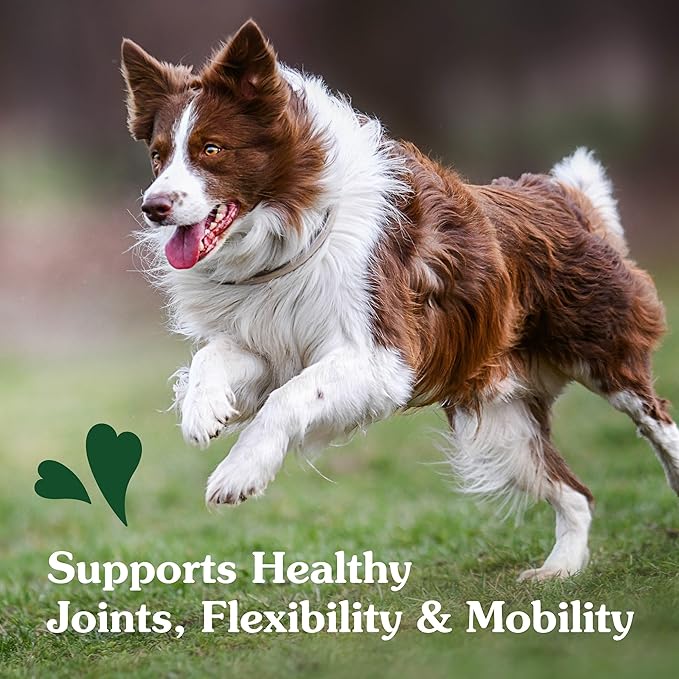 Greenies Supplements Hip and Joint Supplements for Dogs, with Chondroitin & Glucosamine for Dogs, Chicken Flavor, 16.2 oz. Container, 80 Count (Pack of 2)
